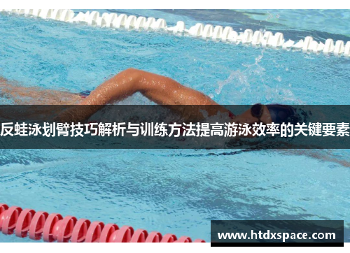 反蛙泳划臂技巧解析与训练方法提高游泳效率的关键要素