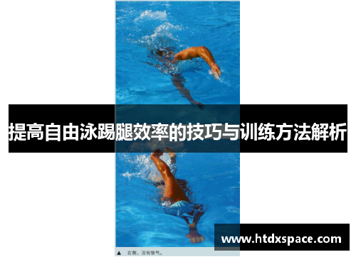 提高自由泳踢腿效率的技巧与训练方法解析